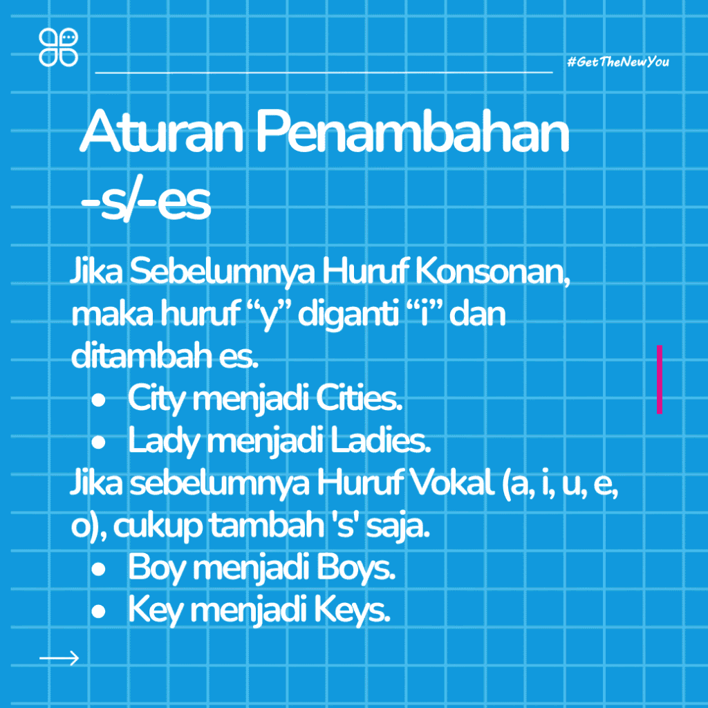 ILustrasi Panduan Lengkap Singular dan Plural Noun: 5 Menit Paham! ilustrasi panduan lengkap singular dan plural noun