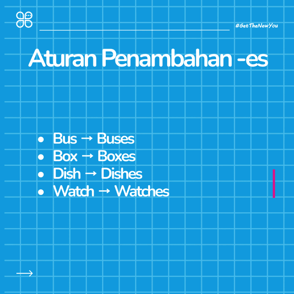 ILustrasi Panduan Lengkap Singular dan Plural Noun: 5 Menit Paham! ilustrasi panduan lengkap singular dan plural noun